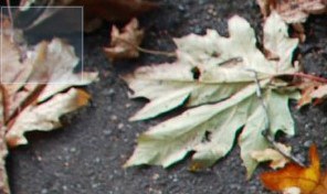 电脑怎么巧妙隐藏文件夹让人找不到？隐藏电脑文件方法教程